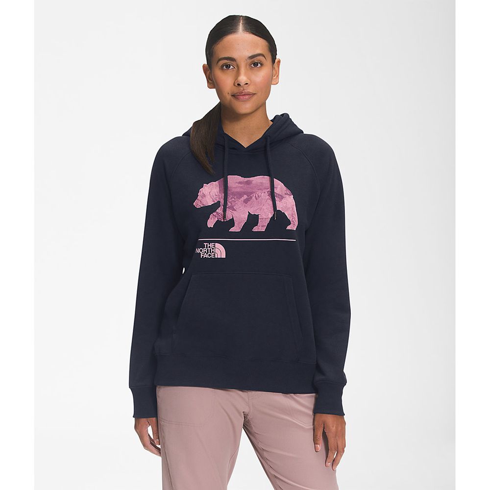 The North Face Sweatshirts Womens Australia - The North Face Bearscape 2.0 Pullover Hoodie Navy (TKZ